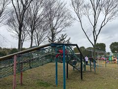 -明珠湖天鹅苑·农家菜馆