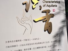 -香市公园-中国沉香文化博物馆
