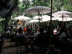 -Fern Forest Cafe