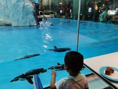 -帝企鹅自助餐厅•儿童岛•真企鹅(长隆企鹅酒店)