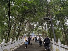 -成都老君山