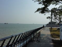 -大湾区中央湿地公园