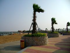 -南汇嘴观海公园