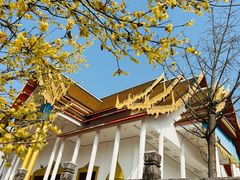 -报恩禅寺