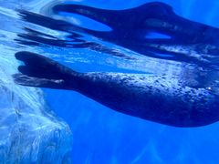 -多彩贵州城极地海洋世界