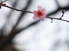 -王阳明故居