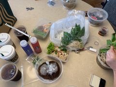 -Pho 14 original viet cuisine and coffee shop