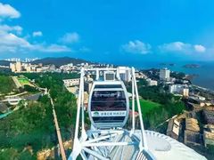 景点-大连森林动物园