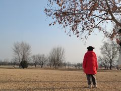 -汉长安城未央宫国家考古遗址公园