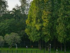 -麓湖高尔夫球俱乐部