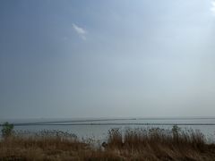 -合肥滨湖国家森林公园