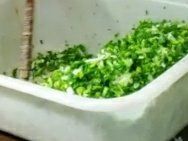 蒜苗-老字号贾家肉丸糊辣汤(光明巷店)