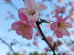 -方山风景区定林寺