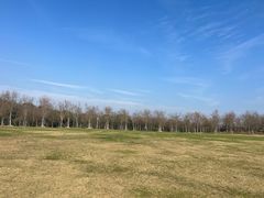 -上海海湾国家森林公园