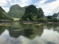 -靖西鹅泉风景区