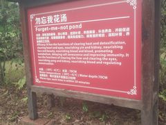 -森波拉火山温泉