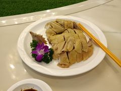 白切鸡-东江渔村(皇悦店)