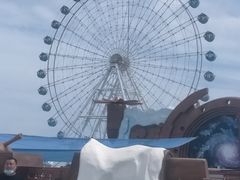 -秦皇岛乐岛海洋王国