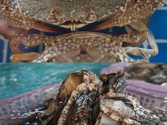 -三亚火车头万人海鲜广场