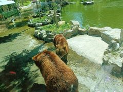 -北京野生动物园