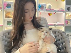 -lincat·猫舍(广州店)