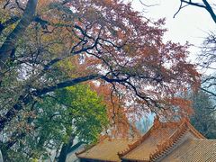 -终南山古楼观历史文化景区