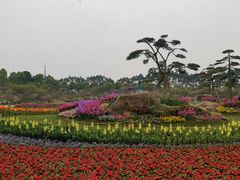 -秀丽东方