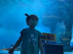 -石家庄海洋公园