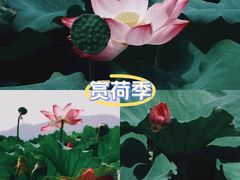 -大宁公园