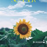 七月𝗦𝗨𝗠𝗠𝗘𝗥限定🌞母亲与向日葵🌻有约