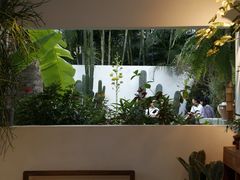 -自由生长植物工作室(深港花卉中心店)