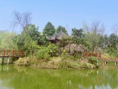 -夏河溪乡野公园