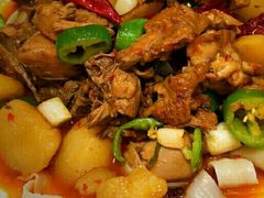 -巴依老爷新疆美食(常营店)