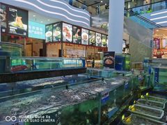 -欢乐海岸美食联盟