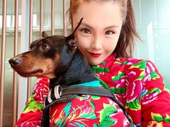 -奔驰上海利星(七宝店)