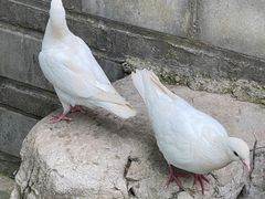 -开元溶洞