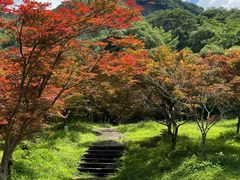 -五泄景区