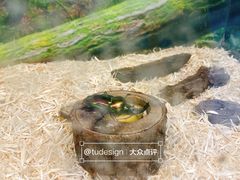 -上海大自然野生昆虫馆