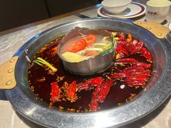 -新渝城·川菜·火锅(区庄店)