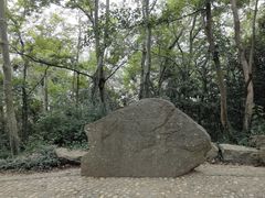 -上海佘山国家森林公园天马山园