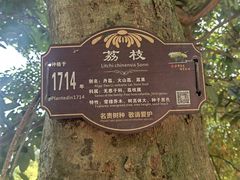 -张坝桂圆林公园
