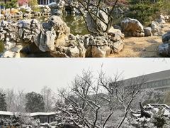 -毗卢寺