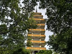 -鹅岭公园瞰胜楼