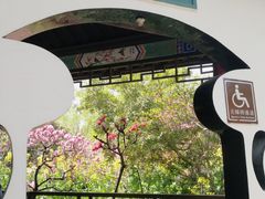 -南汇桃花村