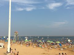 -碧海金沙