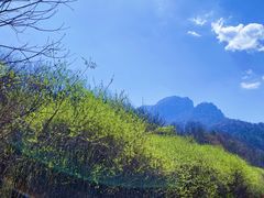 -青峰峡国家森林公园