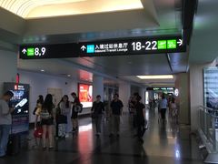 -厦门高崎国际机场-T3航站楼