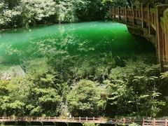 -尧治河旅游度假区