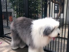 -TrueLove @ Neverland (Husky Cafe)