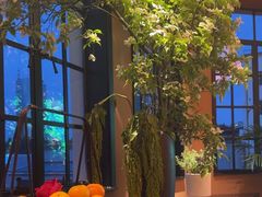 -滇野云南野生菌餐厅(陕西南路店)